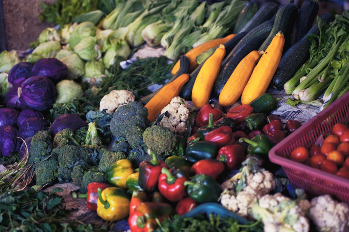 Experto nutricionista explicando guía de alimentación equilibrada
